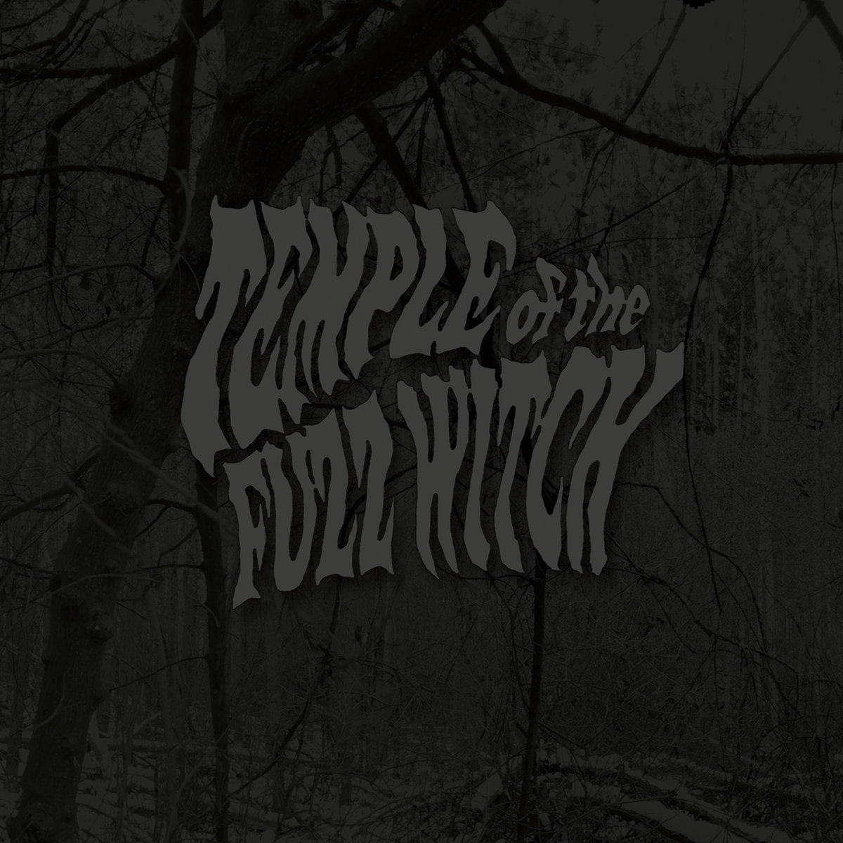 Temple of the Fuzz Witch – recenzja