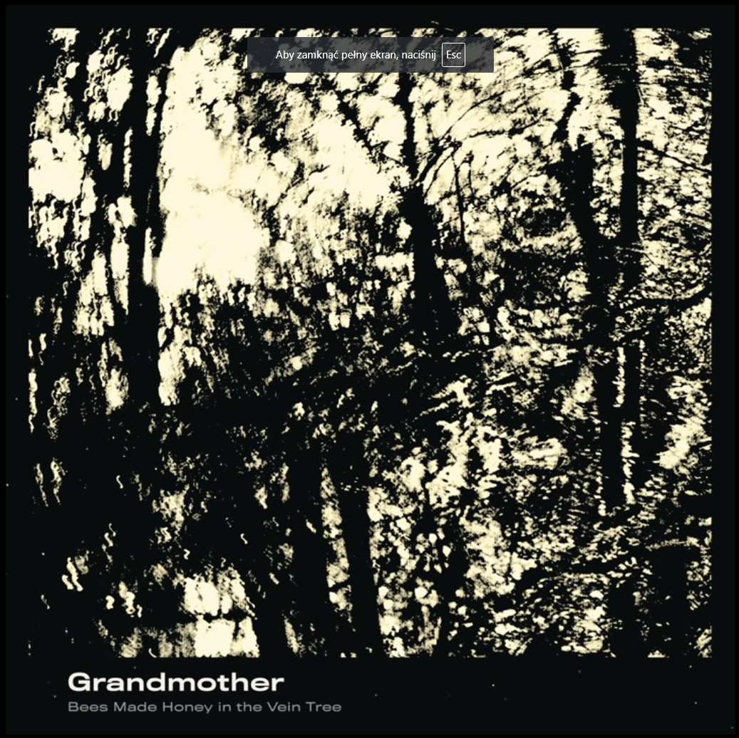 Bees Made Honey in the Vein Tree – Grandmother – recenzja