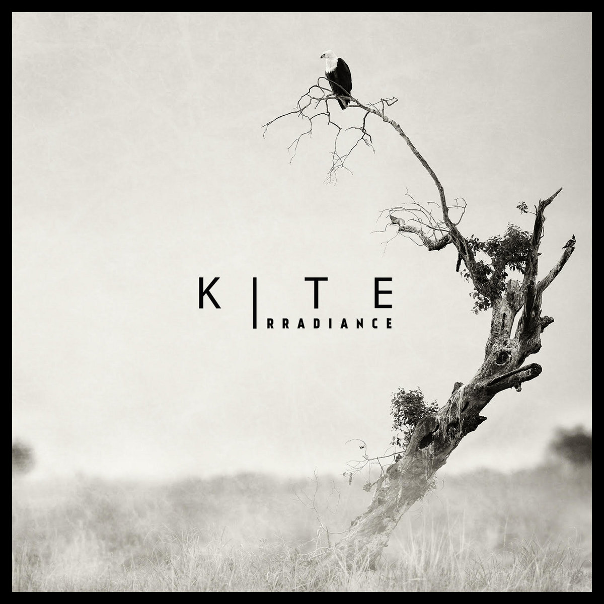 KITE – The Dweller – w Norwegii nadal ciężko